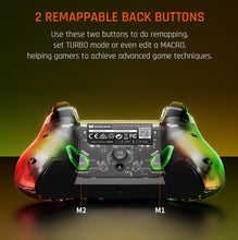 Load image into Gallery viewer, RGB Light Wired Gamepad Controller For PC/Switch, BIGBIGWON C1 Lite, BIGBIGWON C1 Lite+R90, BIGBIGWON C1 S, BIGBIGWON C1 S+R90
