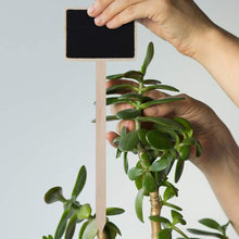 Load image into Gallery viewer, ZX507 10pcs Wooden Plug-in DIY Message Board Mini Plant Name Tags Desktop Display Board