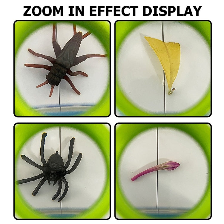 Children Animal Plant Observer Scientific Experiment Magnifying Glass