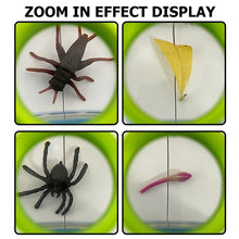 Load image into Gallery viewer, Children Animal Plant Observer Scientific Experiment Magnifying Glass