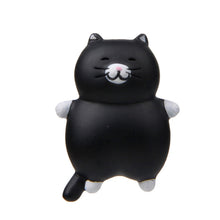 Load image into Gallery viewer, Fat Cat 3D Refrigerator Magnet Magnetic Sticker Phone Case DIY Accessories