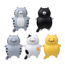 Load image into Gallery viewer, Fat Cat 3D Refrigerator Magnet Magnetic Sticker Phone Case DIY Accessories