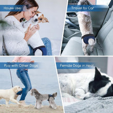 Load image into Gallery viewer, Breathable Dog Physiological Pants Menstrual Pants Anti-harassment Sanitary Pants, Blue S: 24-32cm, Blue M: 35-43cm, Blue L: 40-49cm, Blue XL: 50-59cm, Black S: 24-32cm, Black M: 35-43cm, Black L: 40-49cm, Black XL: 50-59cm