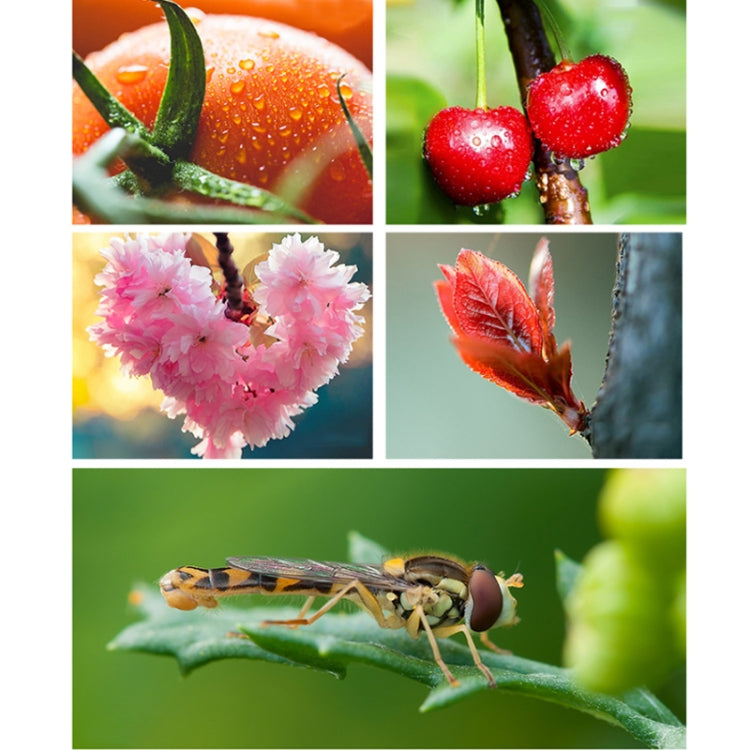 APEXEL CM-HB100CPL HB100mm HD External Macro Mobile Phone Lens with CPL