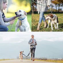 Load image into Gallery viewer, Outdoor Pet Waste Bag Dog Poop Collection Bag, Gray Green Dual Zipper, Gray Yellow Dual Zipper