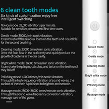 Load image into Gallery viewer, Rechargeable Ultrasonic Soft Bristle Electrical Toothbrushes Flosser 6 Gear With 4 Brushes
