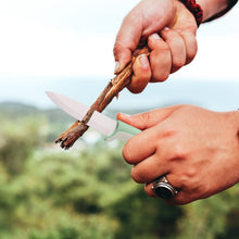 Load image into Gallery viewer, 4-inch Hippo Ceramic Fruit Knife Supplementary Food Knife