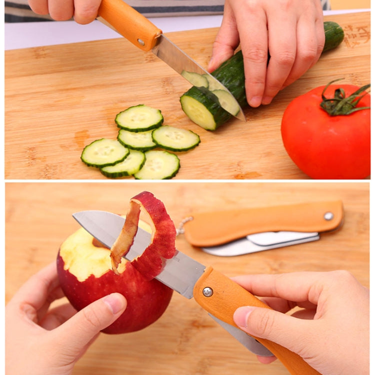 Foldable Stainless Steel Multifunctional Fruit Knife Can Opener