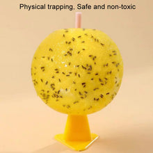 Load image into Gallery viewer, 8cm Fruit Fly Balls for Indoor Use Insect Trap Sticky Insect Balls, Without Core