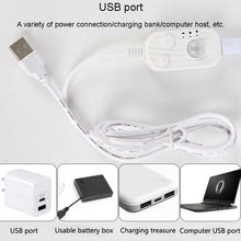 Load image into Gallery viewer, 2m LED Body Sensor Flexible Light Strip Smart Sensor USB Light Strip