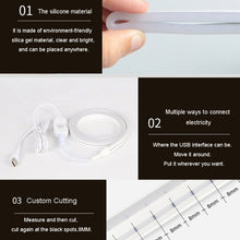 Load image into Gallery viewer, 2m LED Body Sensor Flexible Light Strip Smart Sensor USB Light Strip