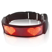 Load image into Gallery viewer, LED Display Pet Collar Rechargeable High Visibility DIY Single Color Collar