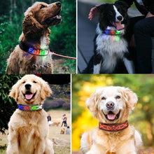 Load image into Gallery viewer, LED Display Pet Collar Rechargeable High Visibility DIY Single Color Collar