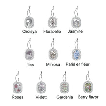 Load image into Gallery viewer, Diptyque Car Solid Fragrance Tablets Aromatherapy Cards