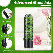 Load image into Gallery viewer, Herb Crisper Vegetable Keep Fresh Container Cilantro Herb Storage Container, 24.5 x 6.5 cm