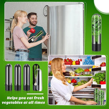 Load image into Gallery viewer, Herb Crisper Vegetable Keep Fresh Container Cilantro Herb Storage Container, 24.5 x 6.5 cm