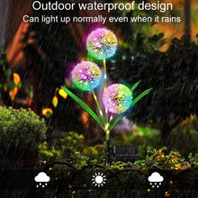 Load image into Gallery viewer, Dandelion Lawn Ground Plug Light Decoration Outdoor Solar LED Garden Lights, 3 Head