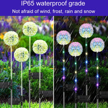 Load image into Gallery viewer, Dandelion Lawn Ground Plug Light Decoration Outdoor Solar LED Garden Lights, Single Head