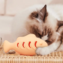 Load image into Gallery viewer, Fish Shape Silicone Cat Toy