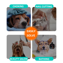 Load image into Gallery viewer, 7 Inch Pet Licking Mat with Suction Cups Non-Slip Slow Feeding Mat for Dogs &amp; Cats, Grey, Mint Color, Blue