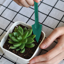 Load image into Gallery viewer, Large Gardening Seedling Remover Potted Planter And Nursery Seeder, 2pcs / Set