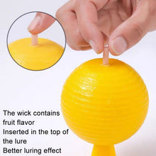 Load image into Gallery viewer, 8cm Indoor Fruit Fly Ball With Core Insect Attractant Sticky Ball, With Core