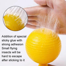 Load image into Gallery viewer, 8cm Indoor Fruit Fly Ball With Core Insect Attractant Sticky Ball, With Core
