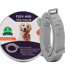 Load image into Gallery viewer, Flea and Tick Collar for Dogs Cats With Aluminum Case, 72cm Gray, 72cm Orange, 72cm Blue, 38cm Orange, 38cm Pink, 38cm Blue