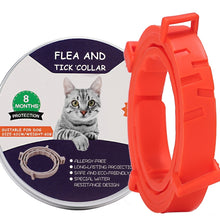 Load image into Gallery viewer, Flea and Tick Collar for Dogs Cats With Aluminum Case, 72cm Gray, 72cm Orange, 72cm Blue, 38cm Orange, 38cm Pink, 38cm Blue