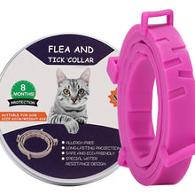 Load image into Gallery viewer, Flea and Tick Collar for Dogs Cats With Aluminum Case, 72cm Gray, 72cm Orange, 72cm Blue, 38cm Orange, 38cm Pink, 38cm Blue