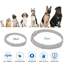 Load image into Gallery viewer, Flea and Tick Collar for Dogs Cats With Aluminum Case, 72cm Gray, 72cm Orange, 72cm Blue, 38cm Orange, 38cm Pink, 38cm Blue
