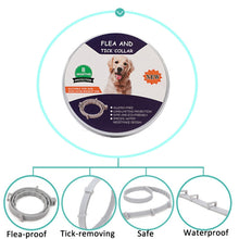 Load image into Gallery viewer, Flea and Tick Collar for Dogs Cats With Aluminum Case, 72cm Gray, 72cm Orange, 72cm Blue, 38cm Orange, 38cm Pink, 38cm Blue