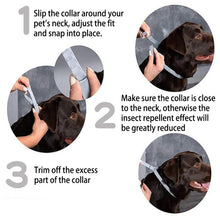 Load image into Gallery viewer, Flea and Tick Collar for Dogs Cats With Aluminum Case, 72cm Gray, 72cm Orange, 72cm Blue, 38cm Orange, 38cm Pink, 38cm Blue
