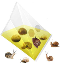 Load image into Gallery viewer, 20pcs /Pack Snail Slug Trap Bag Garden Vegetable Plot Trap Transparent Plastic Bag
