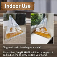 Load image into Gallery viewer, 20pcs /Pack Snail Slug Trap Bag Garden Vegetable Plot Trap Transparent Plastic Bag