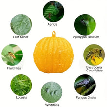 Load image into Gallery viewer, Outdoor Fruit Fly Mosquito Citrus Trap Sticky Ball, Yellow