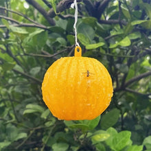 Load image into Gallery viewer, Outdoor Fruit Fly Mosquito Citrus Trap Sticky Ball, Yellow