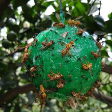 Load image into Gallery viewer, Outdoor Fruit Fly Mosquito Citrus Trap Sticky Ball, Green