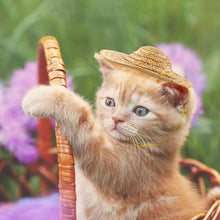 Load image into Gallery viewer, Mini Pet Straw Hat Cat Dog Birthday Party Sun Visor Hat, S 10cm, M 13cm, L 16cm, XL 20cm