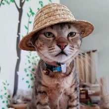 Load image into Gallery viewer, Mini Pet Straw Hat Cat Dog Birthday Party Sun Visor Hat, S 10cm, M 13cm, L 16cm, XL 20cm