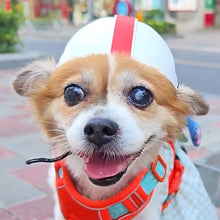Load image into Gallery viewer, Pet Helmet Dogs And Cats Rugby Hat Accessories, S, M