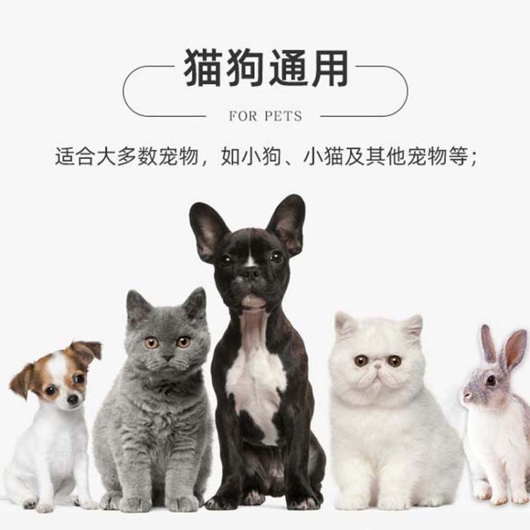 Newborn Pet Identification Circle Kitten And Puppy Colorful Collar