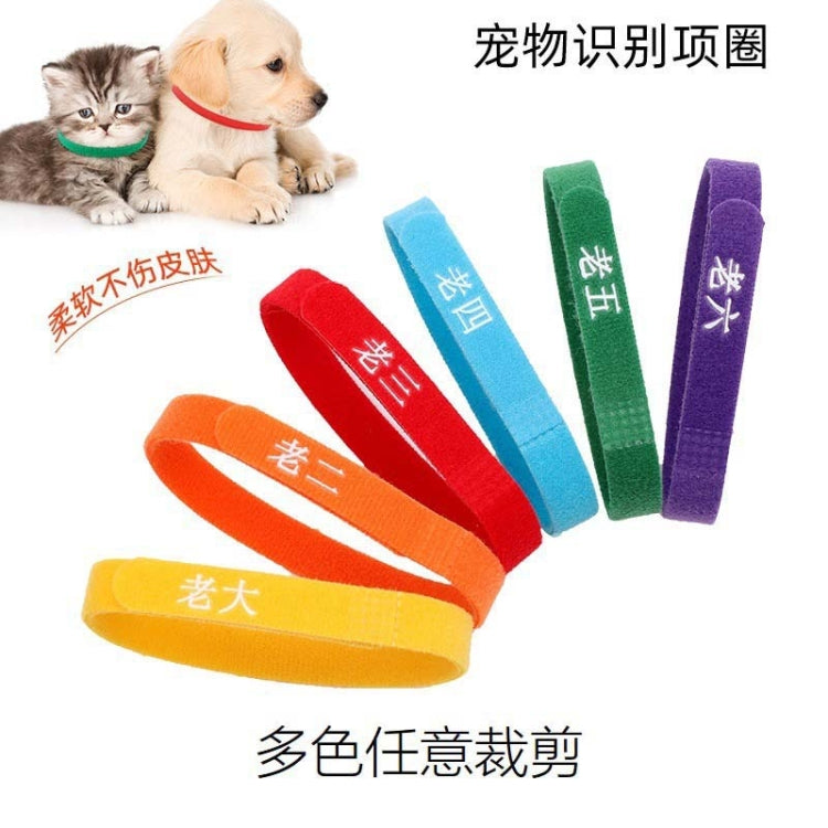 Newborn Pet Identification Circle Kitten And Puppy Colorful Collar