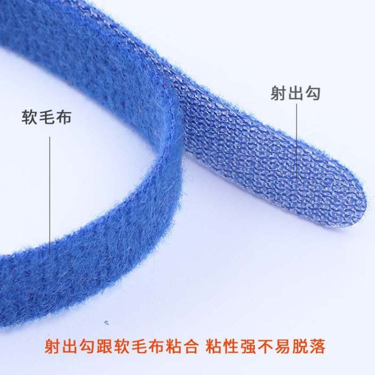 Newborn Pet Identification Circle Kitten And Puppy Colorful Collar