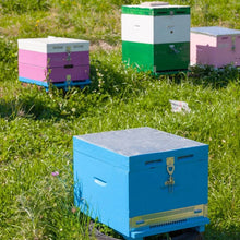 Load image into Gallery viewer, Beehive Buckle Connector Bee Box Anti-theft Fastener Beekeeping Tools