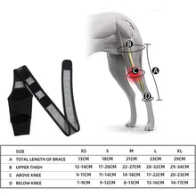 Load image into Gallery viewer, Dog Leg Fracture Protection Injury Support Belt, S, M, L, XL