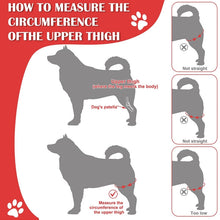 Load image into Gallery viewer, Dog Leg Fracture Protection Injury Support Belt, S, M, L, XL