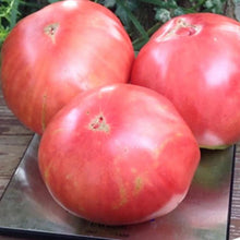 Load image into Gallery viewer, MARSEED Delicious Tomato Seeds, New / Old Packaging Ships Randomly