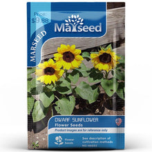 Load image into Gallery viewer, MARSEED Balcony Dwarf Sunflower Seeds Potted Ornamental Flowers Edible Sunflower Seeds, New / Old Packaging Ships Randomly