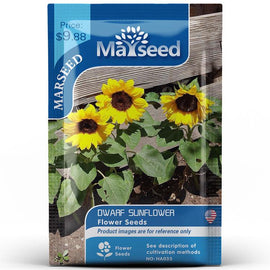 MARSEED Balcony Dwarf Sunflower Seeds Potted Ornamental Flowers Edible Sunflower Seeds, New / Old Packaging Ships Randomly